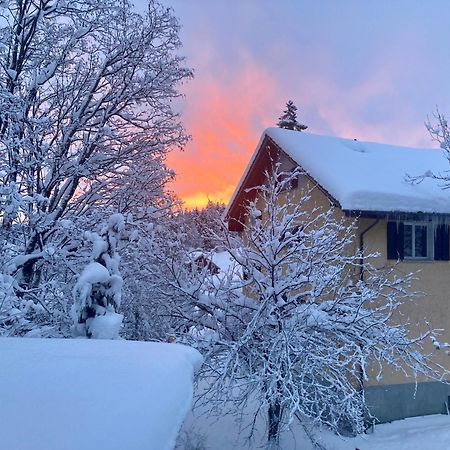 Ferienwohnung Haus Am Bach In Toggenburg Wildhaus Exteriér fotografie