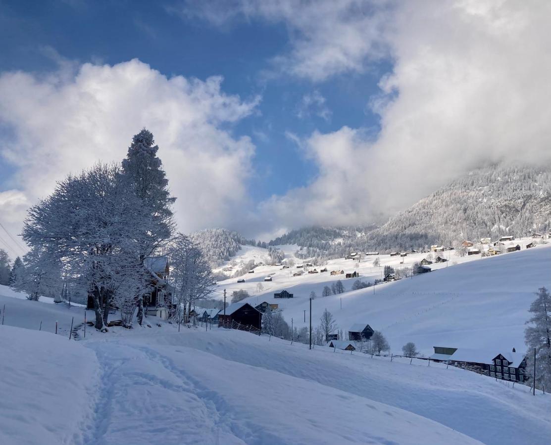 Ferienwohnung Haus Am Bach In Toggenburg Wildhaus Exteriér fotografie