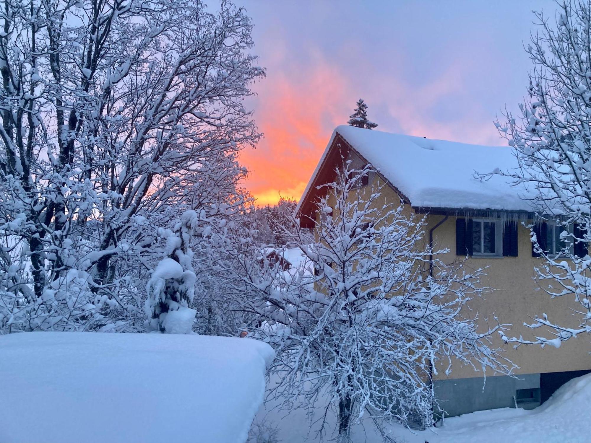 Ferienwohnung Haus Am Bach In Toggenburg Wildhaus Exteriér fotografie