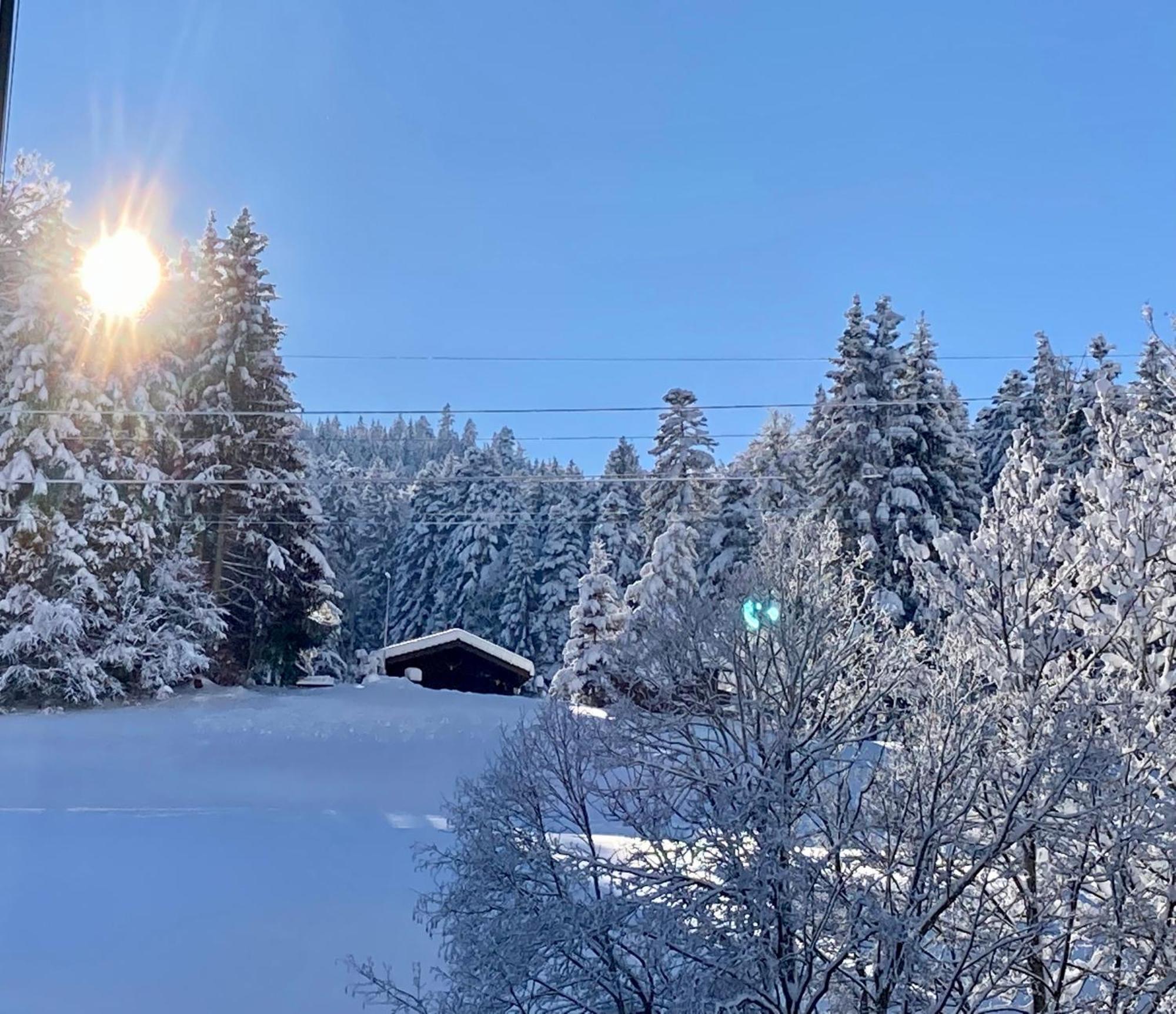 Ferienwohnung Haus Am Bach In Toggenburg Wildhaus Exteriér fotografie